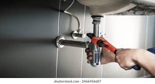 Best Plumbing System Maintenance  in Navy Yard City, WA